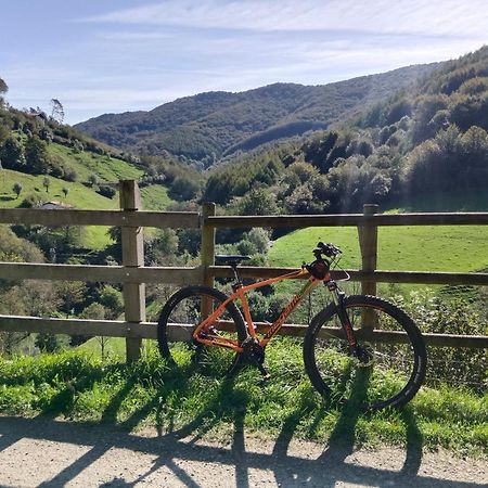 Hostal-Cicloturismo Lopenea Leitza  Buitenkant foto