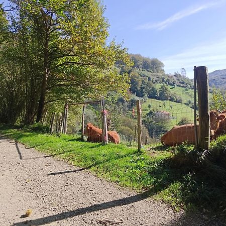 Hostal-Cicloturismo Lopenea Leitza  Buitenkant foto