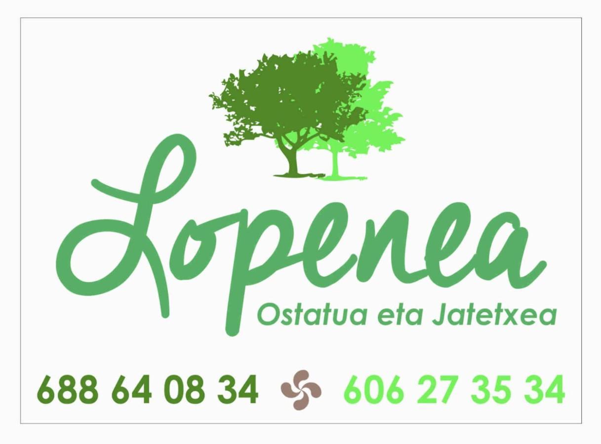 Hostal-Cicloturismo Lopenea Leitza  Buitenkant foto